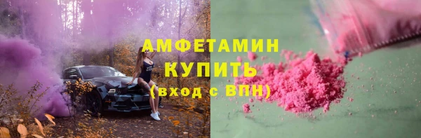 дмт Бородино