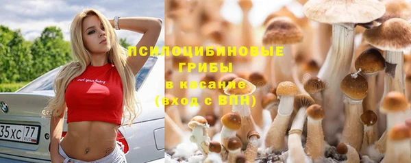 дмт Бородино